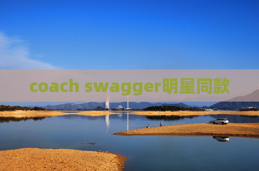 coach swagger明星同款